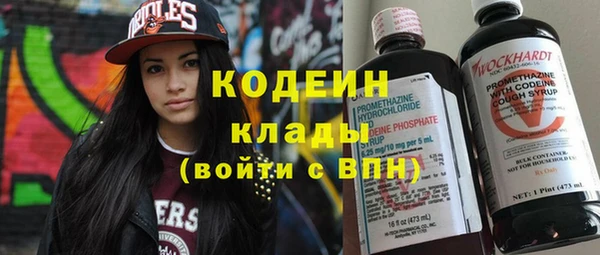 дурь Нея