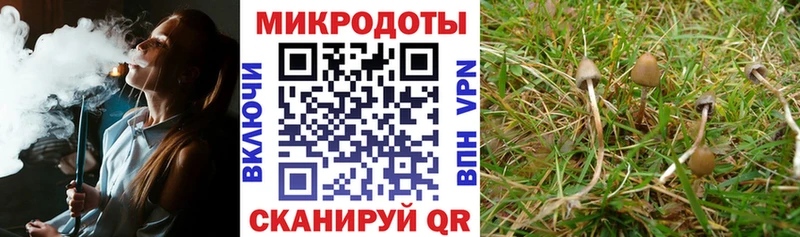 Псилоцибиновые грибы мицелий  сайты даркнета какой сайт  Приморско-Ахтарск 