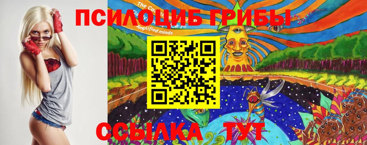 Псилоцибиновые грибы мицелий Приморско-Ахтарск