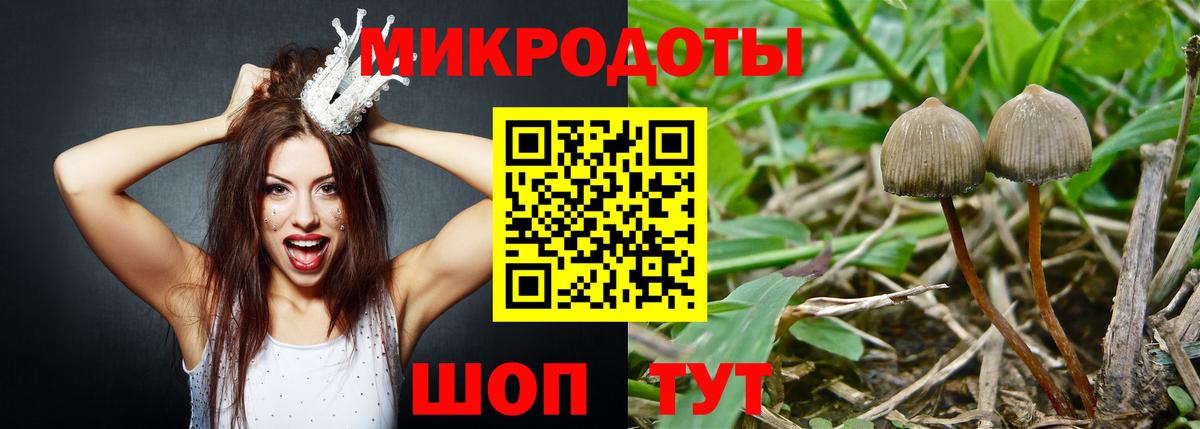 Приморско-Ахтарск  Галлюциногенные грибы прущие грибы  цена   Вход с VPN 