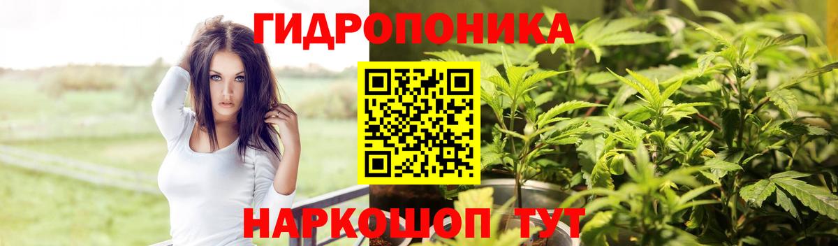 Конопля конопля Приморско-Ахтарск